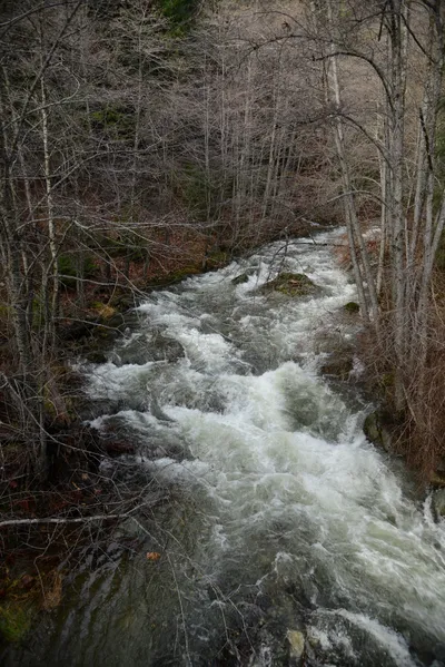 DSC_0883 (Large).JPG